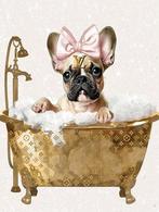Franse Bulldog: Glas en Liefde", Ophalen