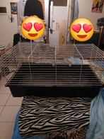 1 cage mesures 90 cm de large 10 euros, Ophalen, Gebruikt, Kooi, Cavia