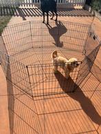 Hondenren 120 x 120, Dieren en Toebehoren, Honden-accessoires, Ophalen, Nieuw