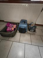 Ensemble pour chaton, Animaux & Accessoires, Enlèvement, Comme neuf