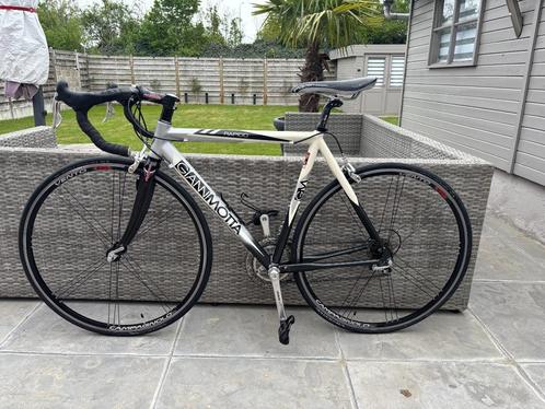 koersfiets '' 54'' 10speed Gianni Motta perfecte staat, Fietsen en Brommers, Fietsen | Heren | Sportfietsen en Toerfietsen, Zo goed als nieuw