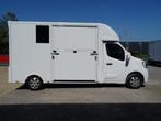 Renault Master Horse Truck / paardencamionette *nieuw*, Dieren en Toebehoren, Ophalen, Nieuw, Polyester, 2-paards trailer