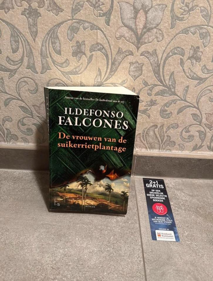 Ildefonso Falcones - De vrouwen van de suikerrietplantage, Boeken, Literatuur, Ophalen