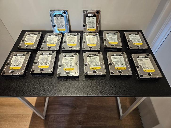 Western Digital 1TB RE3 Hard disk SATA (WD1002FBYS), Computers en Software, Harde schijven, Gebruikt, Desktop, Intern, HDD, SATA