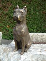dierenbeeld van een bronzen boxerhond, Antiek en Kunst, Ophalen of Verzenden, Brons