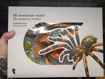 3D anatomisch model spin Tarantula beschikbaar voor biedingen