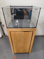 Aquarium, Dieren en Toebehoren, Vissen | Aquaria en Toebehoren, Ophalen