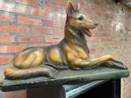 Antiek beeld ( hond ), Ophalen, Zo goed als nieuw