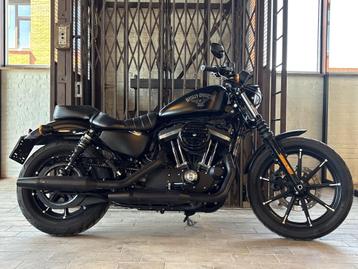 Harley-Davidson Chopper Sportster 883 Iron XL883N (bj 2017) beschikbaar voor biedingen