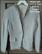 Lichtgrijze vest Terra di Siena 36, Vêtements | Femmes, Pulls & Gilets, Gris, Terra di Siena, Taille 36 (S), Comme neuf