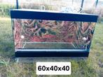 Terrariums, zo goed als nieuw., Dieren en Toebehoren, Ophalen, Zo goed als nieuw