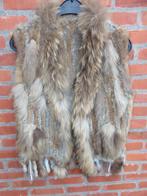 Gilet/ bodywarmer in konijnenbont, Vêtements | Femmes, Blousons sans Manches, Enlèvement ou Envoi, Comme neuf, Taille 42/44 (L)