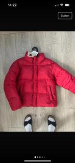 Carhartt WIP Springfield - Winterjas, Maat 38/40 (M), Nieuw, Ophalen of Verzenden, Carhartt