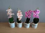 orchidee kunst bloemen voor alle 4 is 20 euro, Huis en Inrichting, Woonaccessoires | Kunstplanten en Kunstbloemen, Ophalen, Nieuw