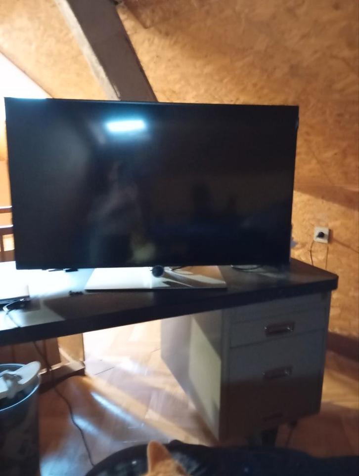 Marque de téléviseurs Loewe, TV, Hi-fi & Vidéo, Télévisions, Enlèvement