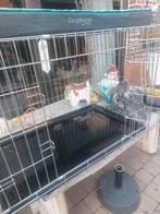 Bench, Enlèvement, Comme neuf, 75 à 110 cm, 65 à 100 cm