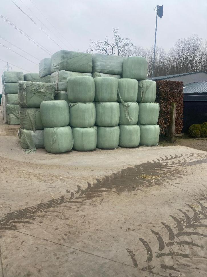 Midi hooibalen, Dieren en Toebehoren, Dierenvoeding, Vee, Ophalen