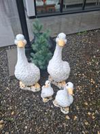 Set eendjes in beton, Ophalen