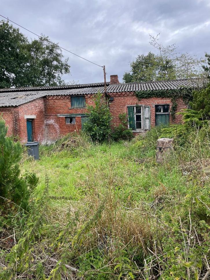 Huis verkopen zonder makelaar?, Immo, Op zoek naar een huis