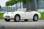 Austin Healey SPRITE Frogeye 1098, Auto's, Lederen bekleding, Cabriolet, Wit, Bedrijf