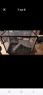 Grande cage rongeurs, Animaux & Accessoires, Enlèvement, Comme neuf, Cage, Hamster