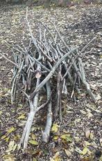 Brandhout / aanmaakhout  GRATIS, Tuin en Terras, Brandhout, Ophalen, Takken