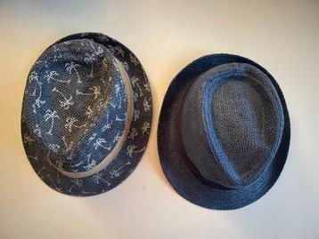 2 hoeden beschikbaar voor biedingen