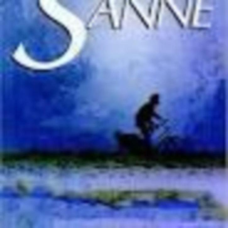 Sanne  Mirjam van den Berg 239 blz, Livres, Romans, Comme neuf, Enlèvement ou Envoi