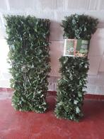 Klimop uitrekbaar 2 stuks nieuw, Enlèvement