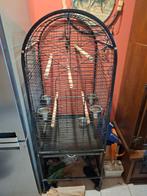 PAAPEGAAI KOOI, Dieren en Toebehoren, Ophalen, Nieuw, Kooi