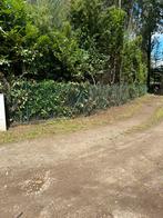 Tuinonderhoud, Ophalen of Verzenden