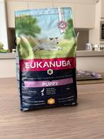 Eukanuba puppy, Enlèvement, Chien