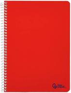 Spiraal notitieboek A5 | GRATIS LEVERING, Diversen, Notitieboeken, -, Verzenden, -, A5