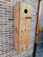 parkieten &broedblok & koningsparkieten & koopje van 20 euro, Meerdere dieren, Parkiet, Geringd