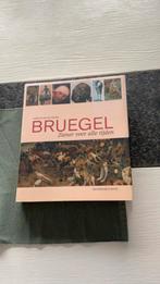 Bruegel. Ziener voor alle tijden., Boeken, Gelezen, Harold Van De Pierre. Davidsfonds Leuven., Ophalen