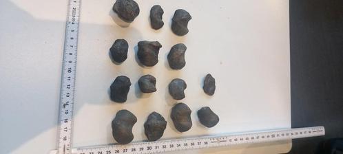 fossielen spiriferen (NR5), Verzamelen, Mineralen en Fossielen, Fossiel, Ophalen of Verzenden