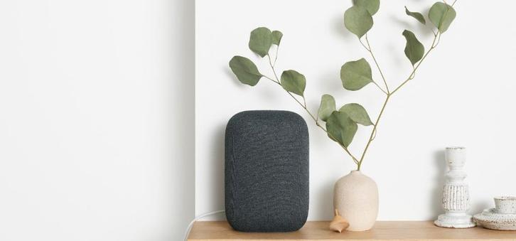 Google Nest speakers mini & audio (grotere) (nieuwstaat), Audio, Tv en Foto, Luidsprekerboxen, Zo goed als nieuw, Ophalen of Verzenden