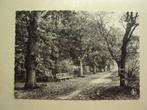 54731 - HOUTHALEN - KELCHTERHOEF - DREEF - ZIE 2 FOTO'S, Verzamelen, Postkaarten | België, Verzenden