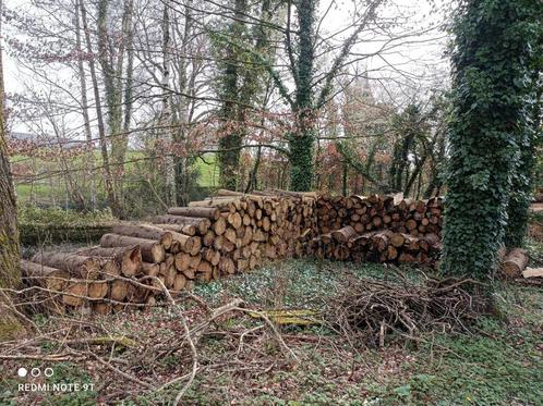 Bois de chauffage de sapin, Tuin en Terras, Brandhout, Ophalen of Verzenden