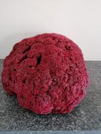 Zeldzame vintage rode pijporgel koraal, 38cm x 33cm x H17cm, Ophalen, Zo goed als nieuw