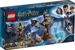 Lego Harry Potter 75945 Expecto Patronum, Ophalen, Zo goed als nieuw, Lego
