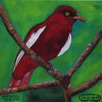 Vogelschilderij, door joky kamo Origineel schilderij op canv, Ophalen