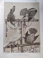 JAPANSE VALKERIJ, Antiek en Kunst, Kunst | Litho's en Zeefdrukken, Ophalen of Verzenden