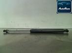 GASDRUKVEERSET ACHTER Clio III (BR / CR) (|8200299546|), Gebruikt, Renault