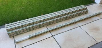 TL Lampen Sylvana F36W / 125ST beschikbaar voor biedingen