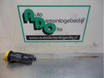 Olie Peilstok van een Renault Megane (Megane 09-), Auto-onderdelen, Gebruikt, -, Renault, -