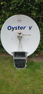 Oyster V Premium Skew schotel 85, Ophalen, Gebruikt