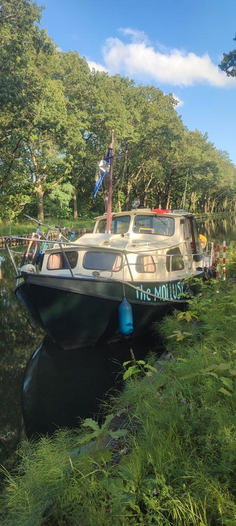 Kajuit motorjacht 9,25 meter( geen vaarbewijs), Watersport en Boten, Motorboten en Motorjachten, Ophalen