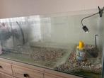 AQUARIUM  130x50x80, Enlèvement, Comme neuf