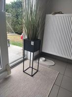 Bloembak interieur, Huis en Inrichting, Woonaccessoires | Zuilen en Pilaren, Ophalen, Zo goed als nieuw